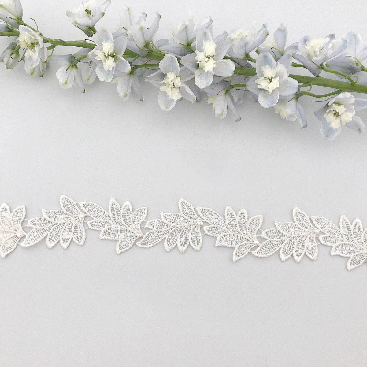 Wedding Belt Ivory Lace leaf wedding belt - &#39;Ferne&#39;